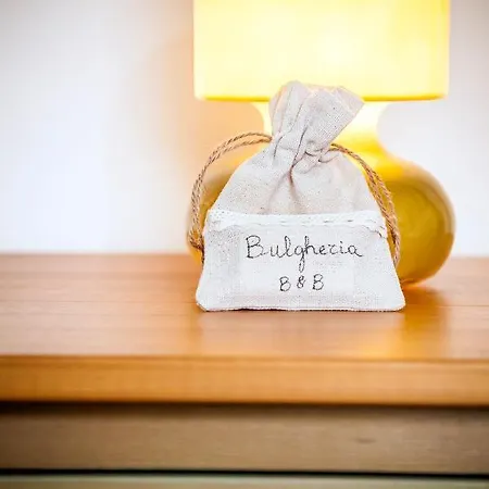 Bulgheriabeb *